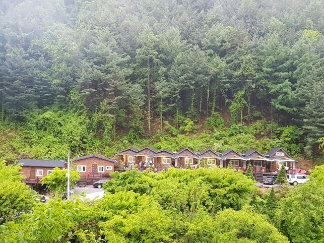 영주 소백산 비로오토파크캠핑&펜션 / 