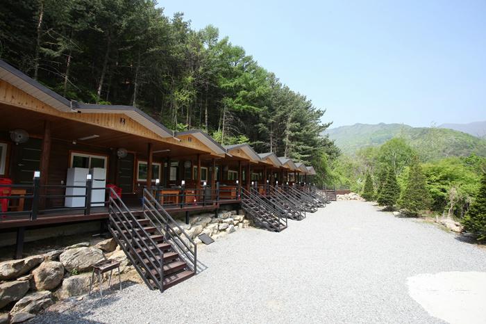 영주 소백산 비로오토파크캠핑&펜션 / 