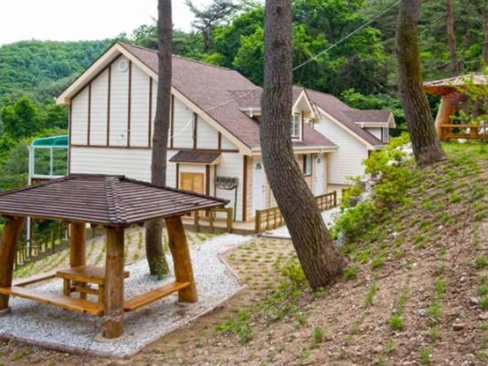 원주 싸리치숲속랜드 펜션 / 