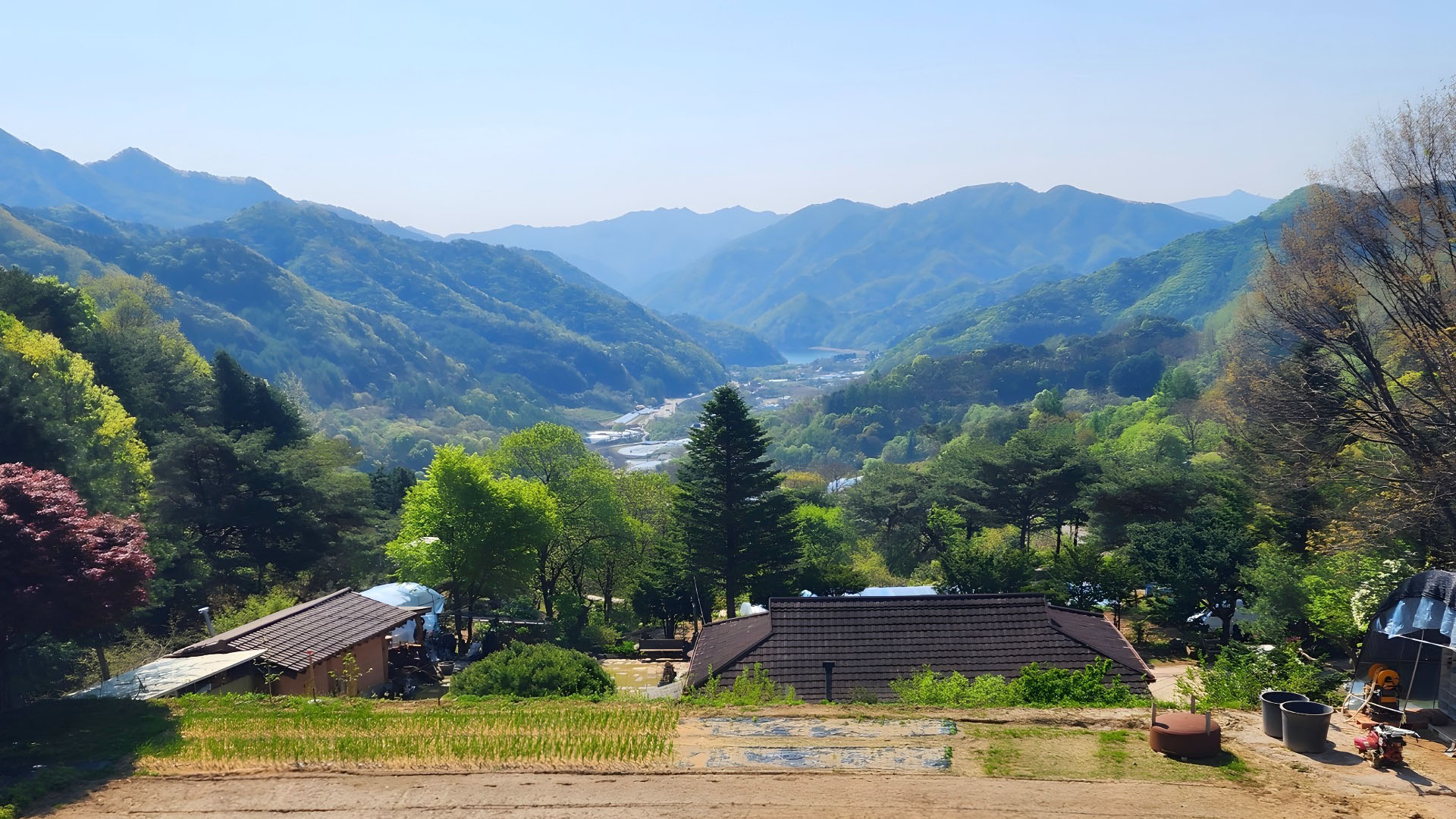 춘천 멍때려 / 