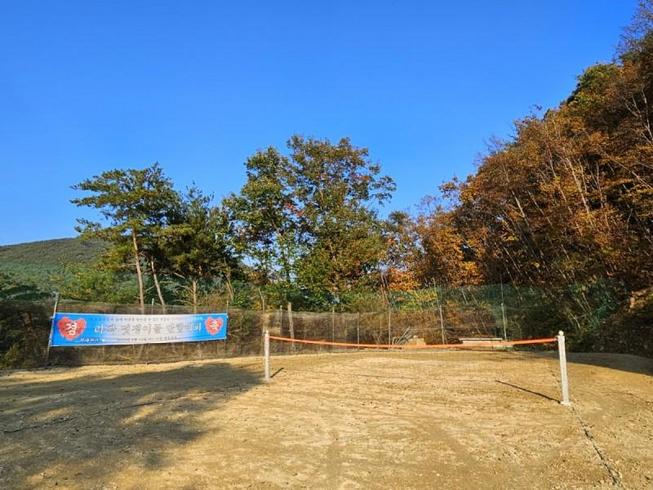고령 스테이포레스트펜션 / 