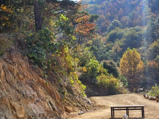 고령 스테이포레스트펜션 / 