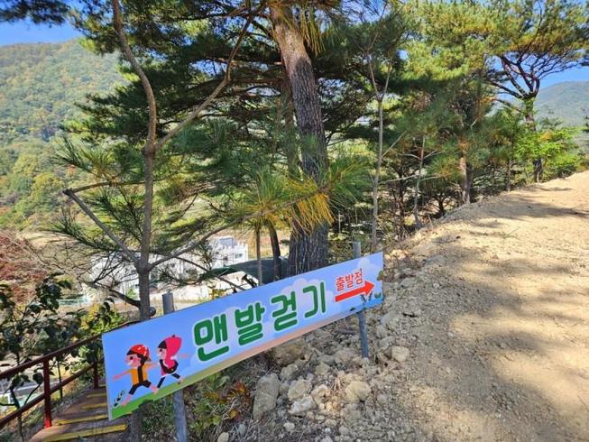고령 스테이포레스트펜션 / 