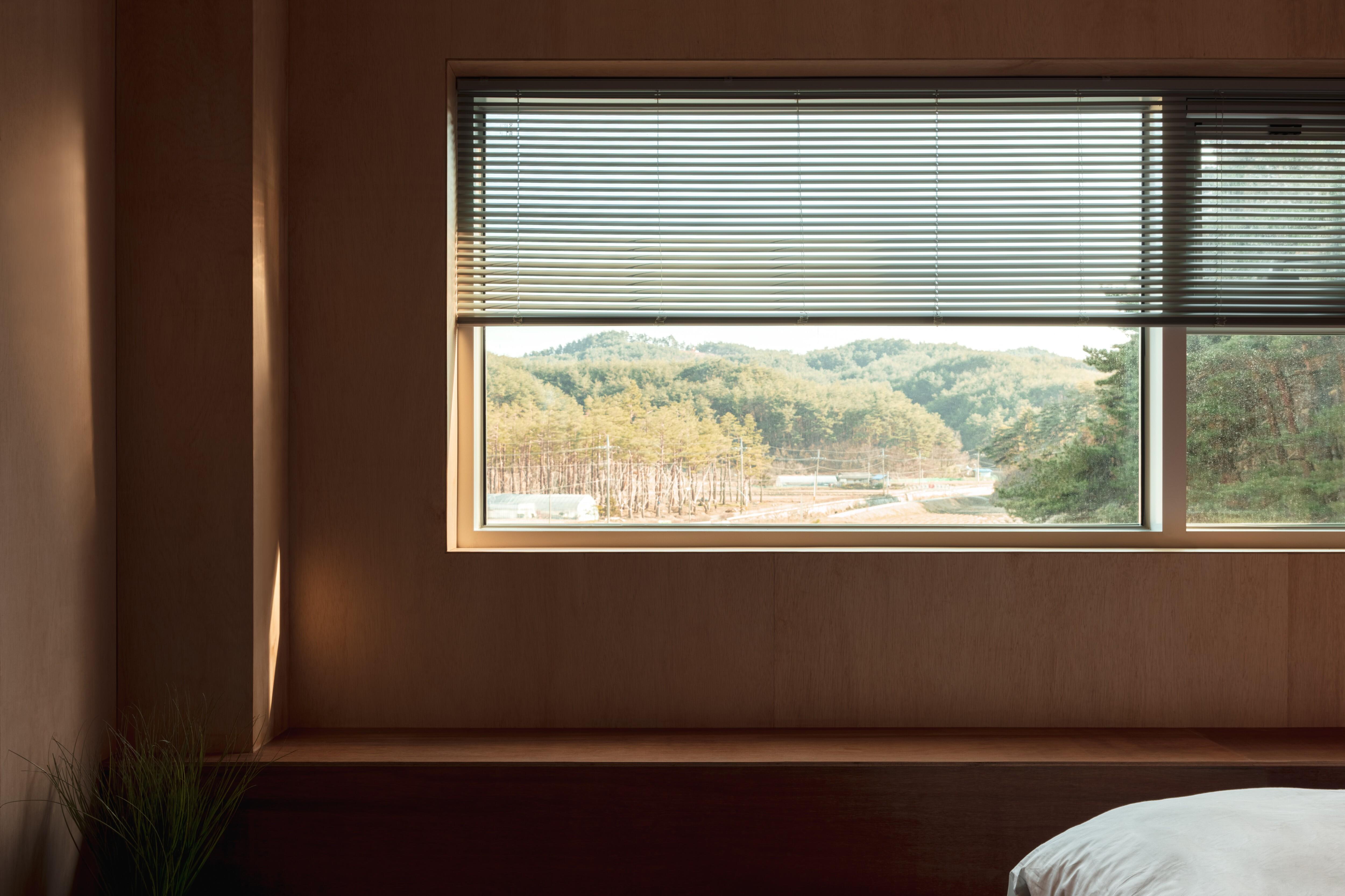 양양 코게러지 /