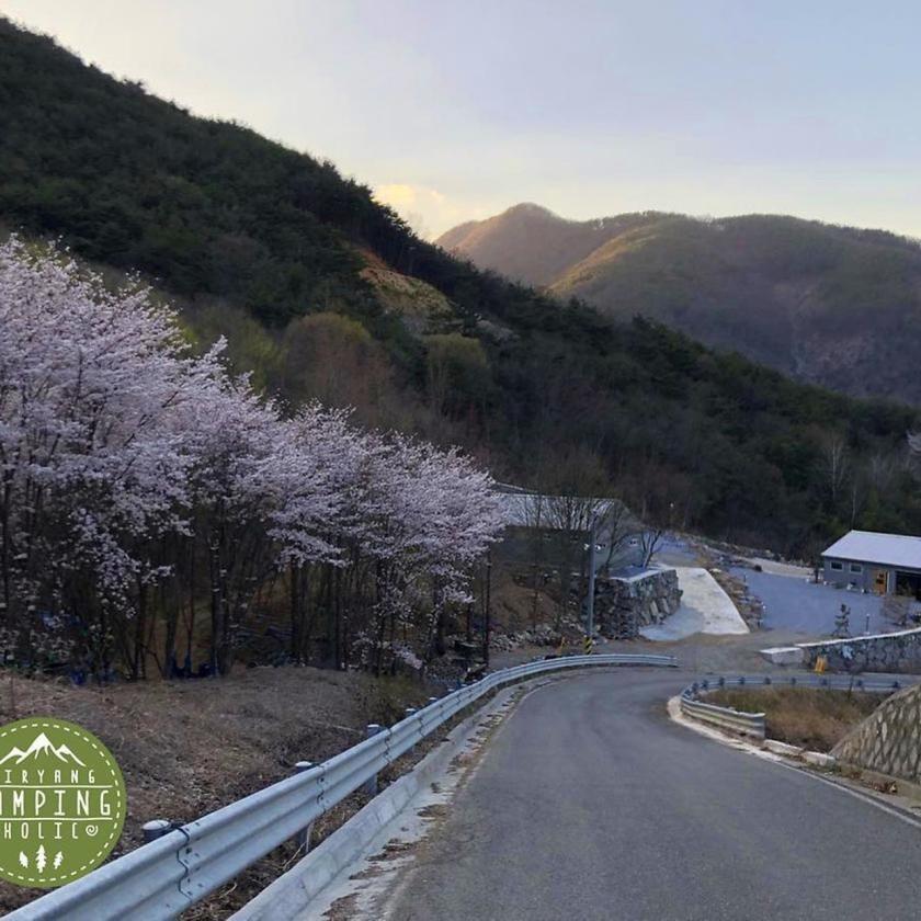 밀양 캠핑홀릭 오토캠핑장 / 