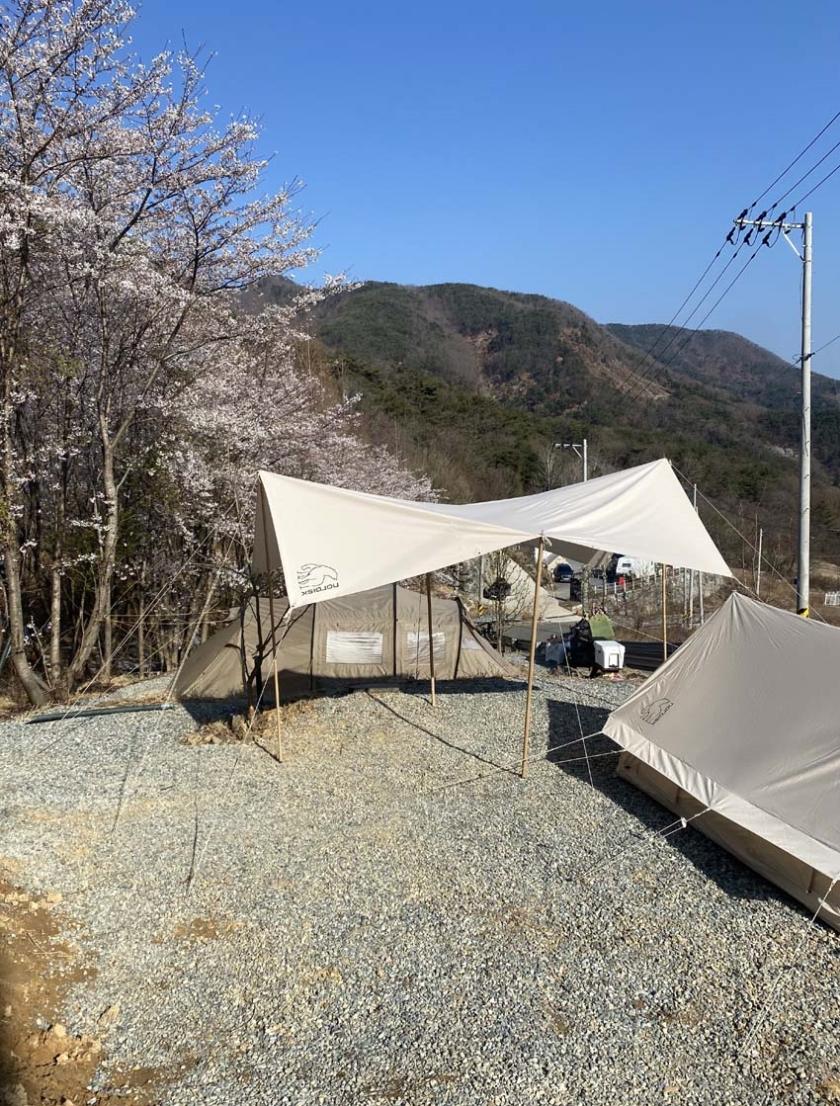 밀양 캠핑홀릭 오토캠핑장 / 