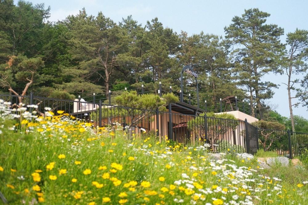 천안 스테이대정호수 / 