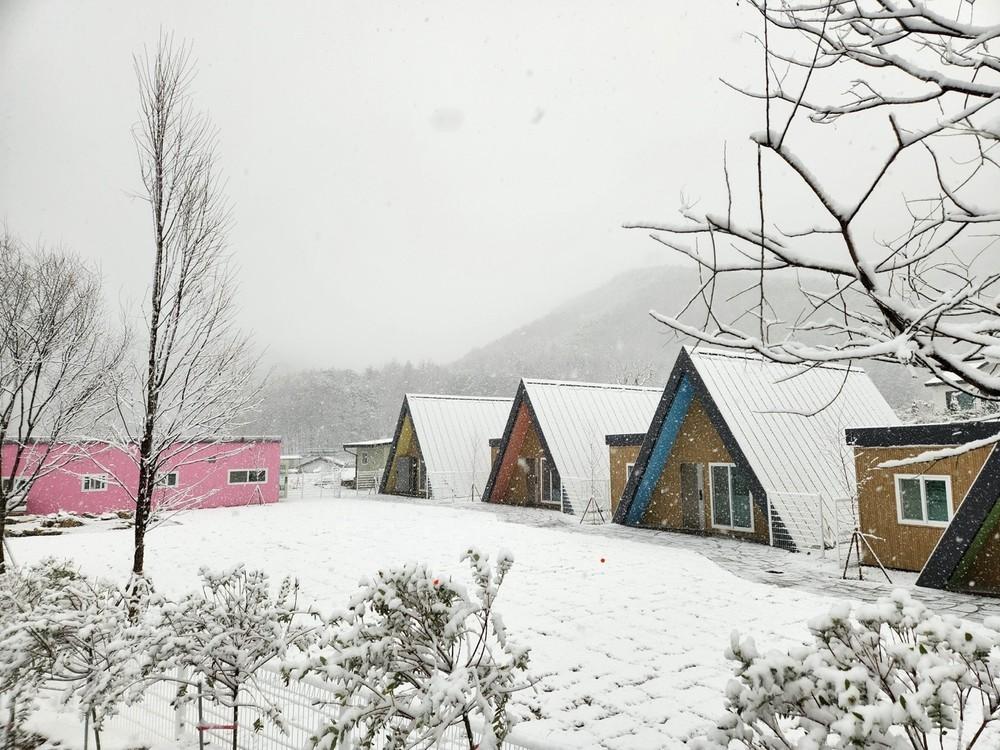 세모하우스애견펜션 / 