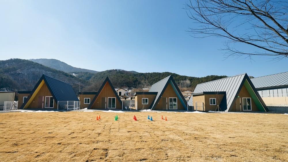 세모하우스애견펜션 / 