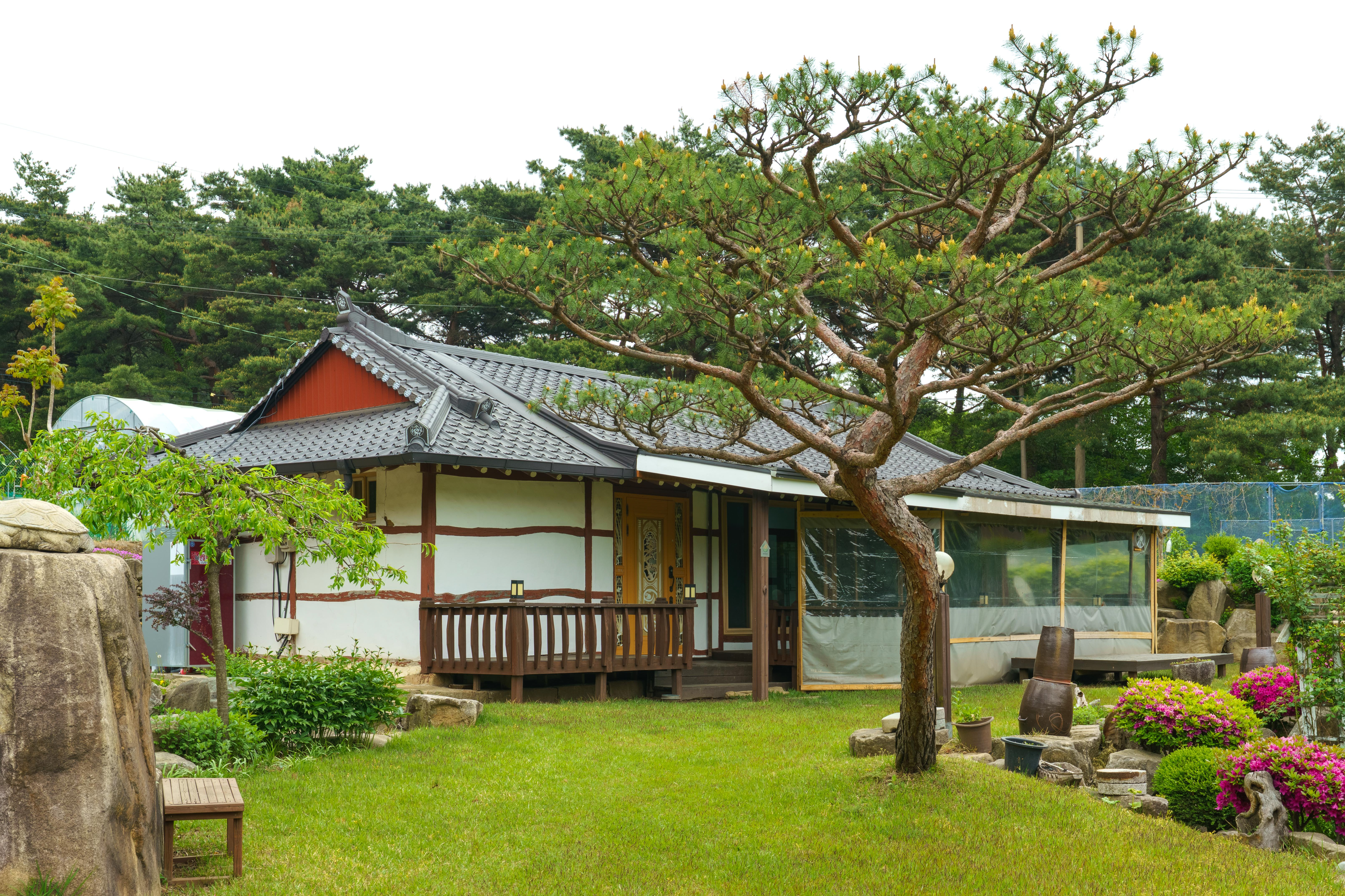 예산 숲속펜션 / 