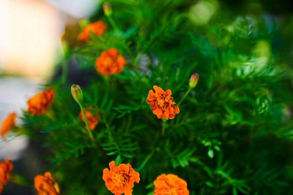 가평 하늘과땅사이힐링스테이 / 