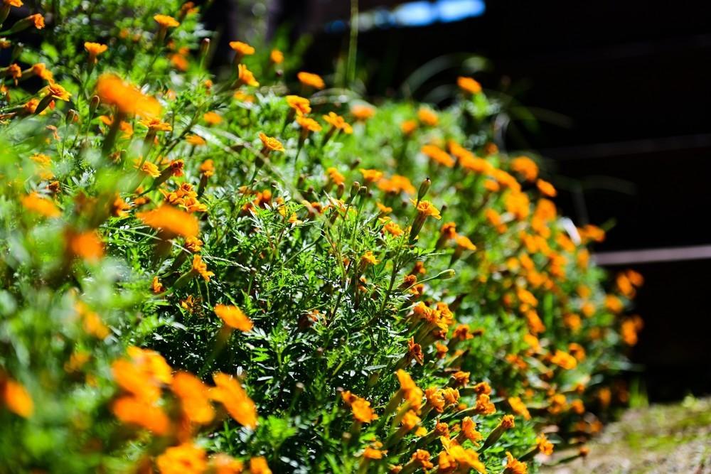 가평 하늘과땅사이힐링스테이 / 