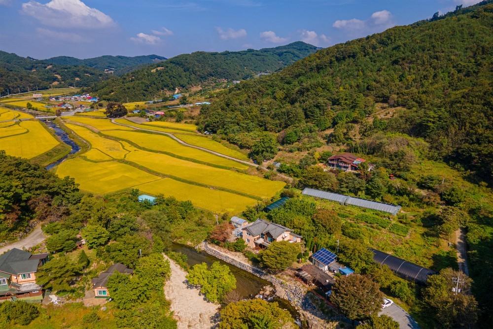 공주 땅우에태양 / 