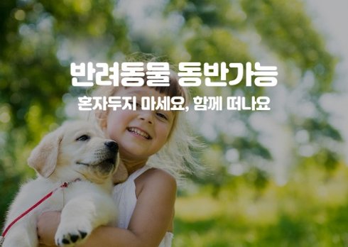 군산 링스 | 여기어때