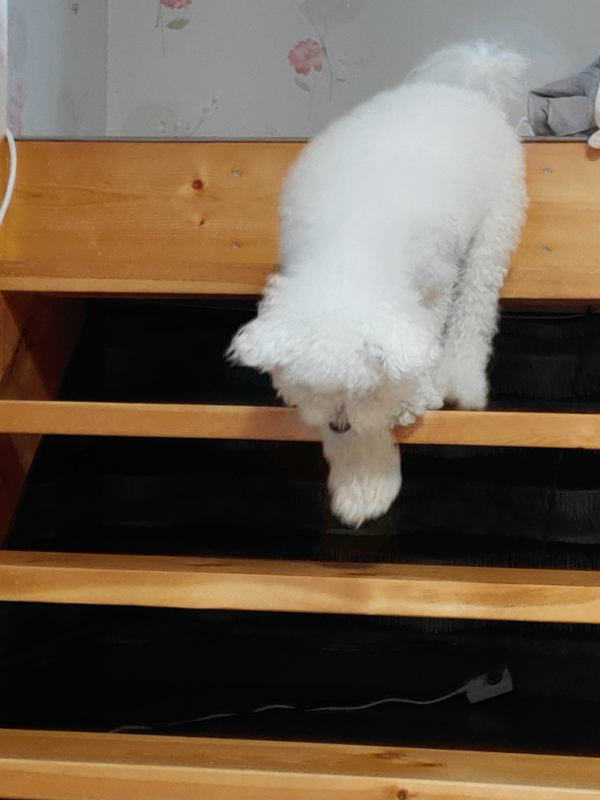 고성 자작도하우스펜션 경쟁 제품과 비교 이미지