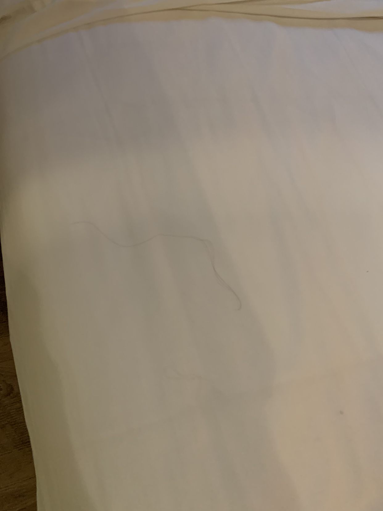 베스트 인 시티 호텔